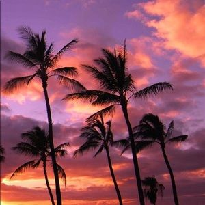 Meet your Posher, Chairos